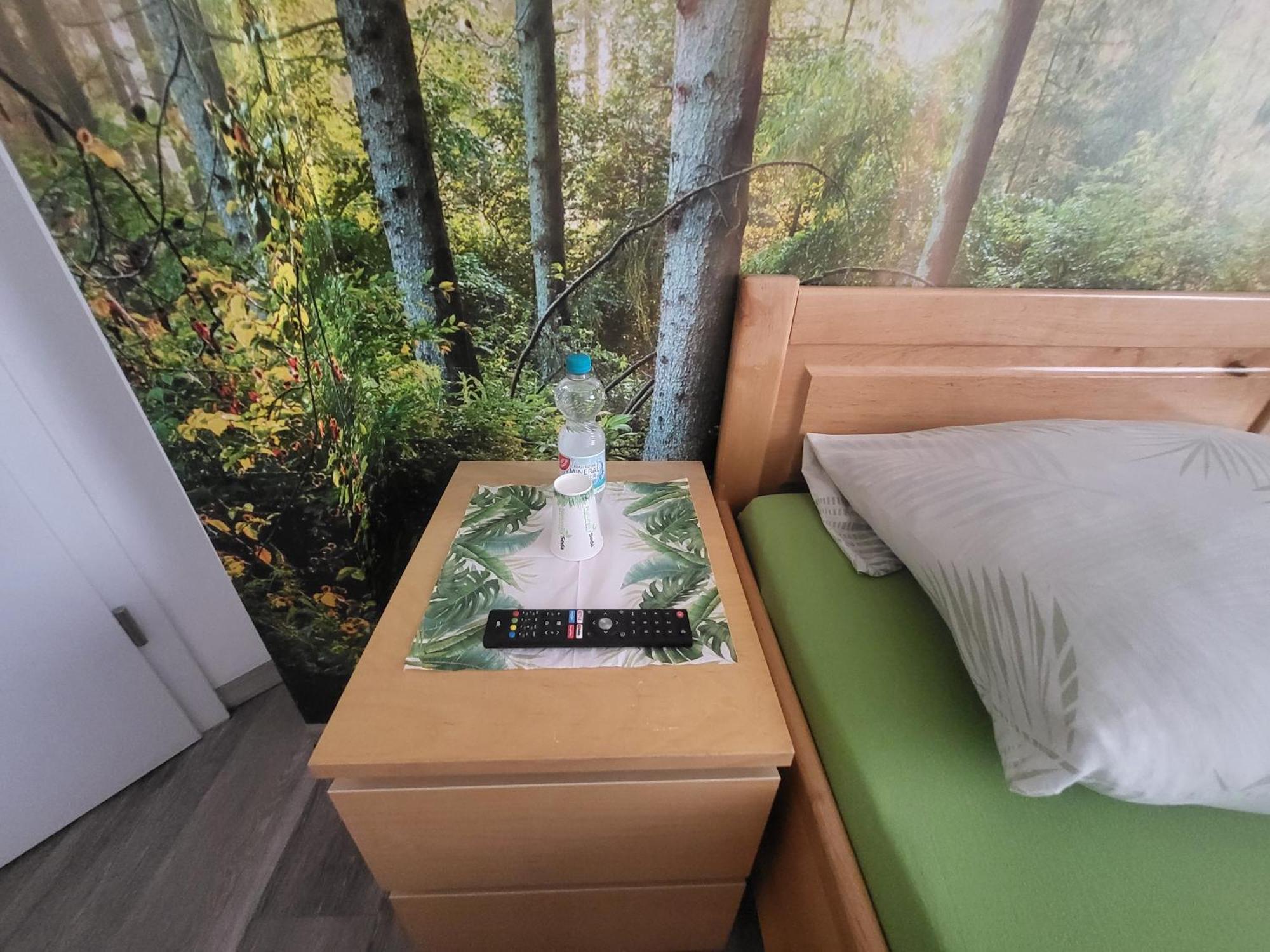 Seelze-Letter Monteurzimmer / Apartment / Messezimmer Phòng bức ảnh